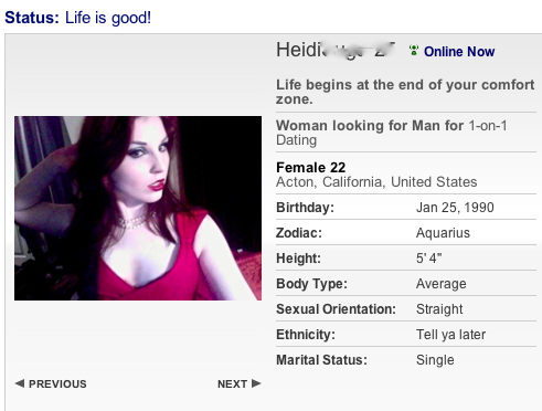 sample of online dating profile